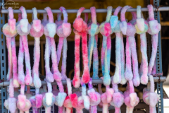 IND_Mamallapuram_006