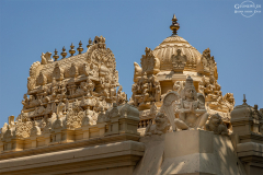 IND_Mamallapuram_009