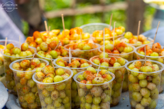 IND_Mamallapuram_013