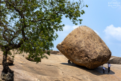 IND_Mamallapuram_017