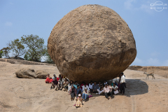 IND_Mamallapuram_018
