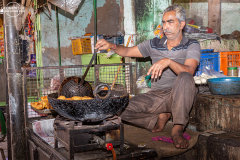 IND_Mandawa_019
