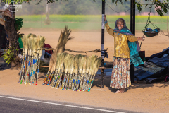 IND_Mandawa_004