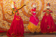 IND_Mandawa_006