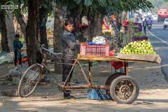 IND_Mandawa_025