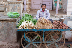 IND_Mandawa_027