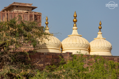 IND_Jodhpur_Fort_004