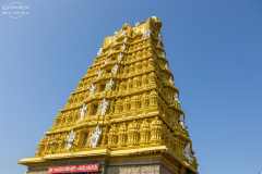 IND_mysuru_004