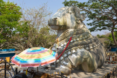 IND_mysuru_012