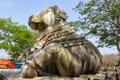 IND_mysuru_013