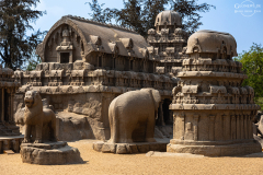 IND_Mamallapuram_Pancha_002