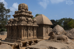 IND_Mamallapuram_Pancha_005