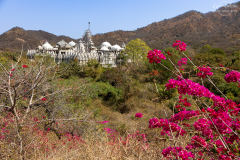 IND_Ranakpur_005