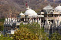 IND_Ranakpur_008