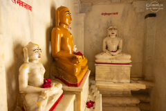 IND_Ranakpur_020