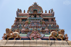 IND_Trichy_Srirangam_005