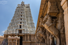 IND_Trichy_Srirangam_008