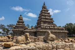 IND_Mamallapuram_Mandir_001