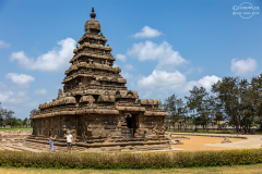 IND_Mamallapuram_Mandir_003