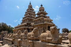 IND_Mamallapuram_Mandir_004