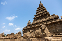 IND_Mamallapuram_Mandir_005