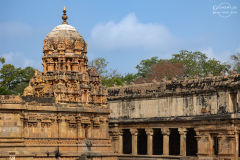 IND_Thanjavur_006