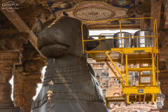 IND_Thanjavur_007