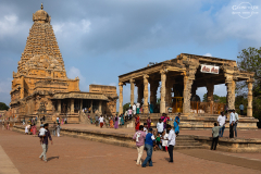 IND_Thanjavur_008