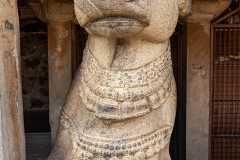IND_Thanjavur_011