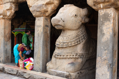 IND_Thanjavur_012