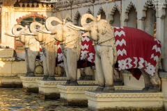 IND_Udaipur_Jag-Mandir_003
