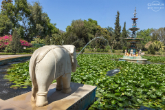 IND_Udaipur_Saheliyon-Ki-Bari_003