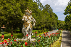 indo_bali.Kebun-Raya-Bali.002