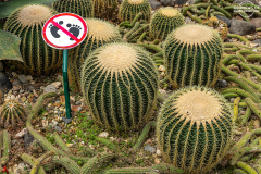 indo_bali.Kebun-Raya-Bali.006