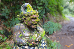 ind_bali_Munduk.003