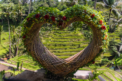 indo_bali_Tegallalang_005