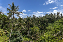 indo_bali_Tegallalang_006