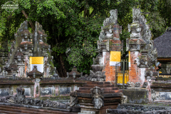 Ind_bali.Tirta-Empul.010