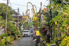 ind_bali.ubud_.001