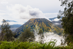 ind_java_bromo.004