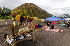 ind_java_bromo.008