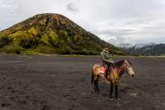 ind_java_bromo.010