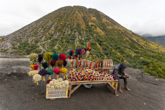 ind_java_bromo.011