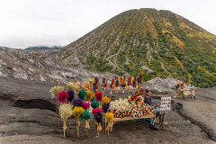 ind_java_bromo.013