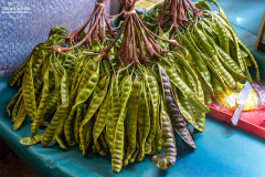 ind_java_jakarta_013