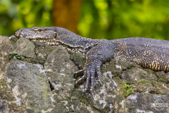 ind_java_pangandaran_017