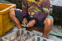 ind_java_pangandaran_024