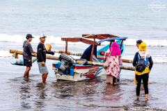 ind_java_pangandaran_012