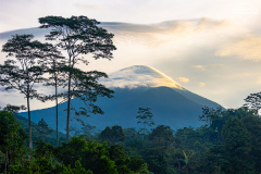 ind_java_dieng_001