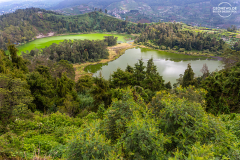 ind_java_dieng_003